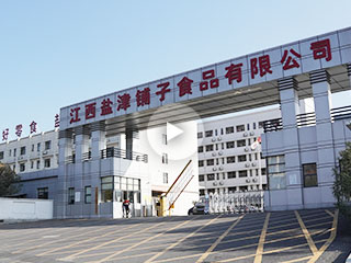 盐津铺子万吨级食品原料冷冻库案例